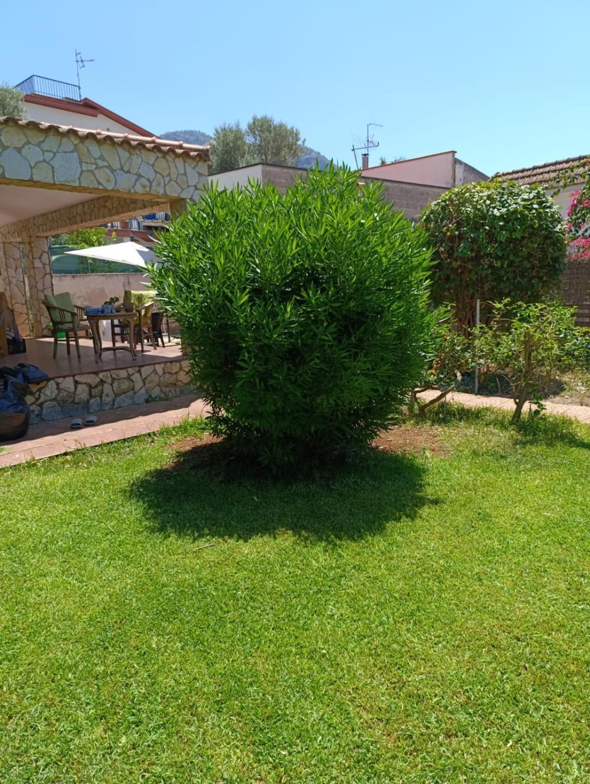הוילה Garden House Mondello פלרמו מראה חיצוני תמונה
